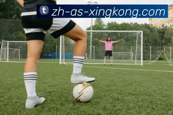 星空体育app平台生态图